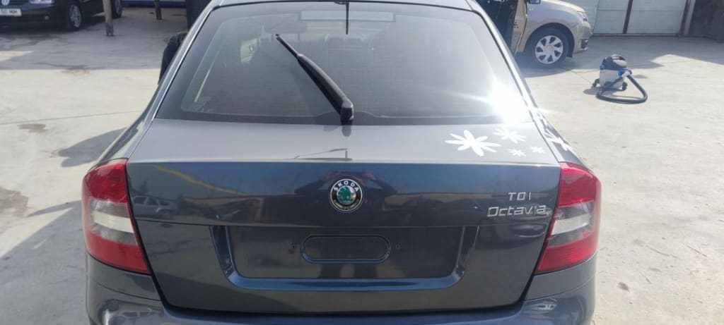 Haion Portbagaj Skoda Octavia 2 Berlina