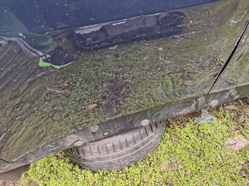 USA DREAPTA SPATE BMW X6 E71